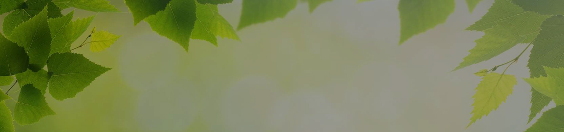 bg-banner